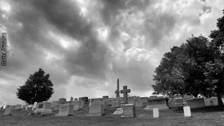 Entity Attack / Open Lines