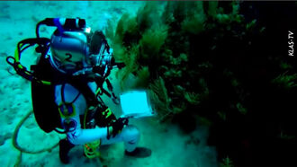 Knapp's News 7/31/16