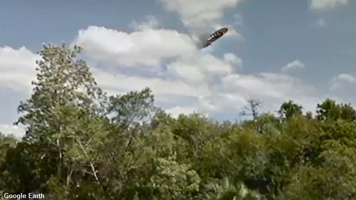 Video: Google Maps Bug Transforms Butterfly into 'UFO'