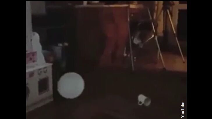 Watch: Pesky Poltergeist Agitates Englishman