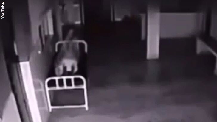 Watch: Soul Leaving the Body Captured on Film?