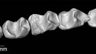 Knapp's News 5/16/10