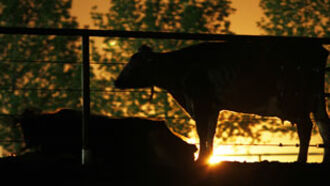 Knapp's News 3/30/14