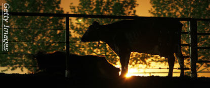 Knapp's News 3/30/14