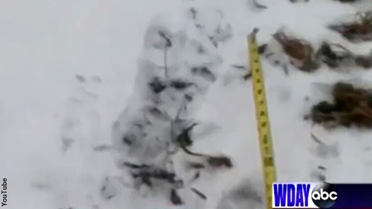 North Dakota Man Says He Tracked Bigfoot for Seven Miles!