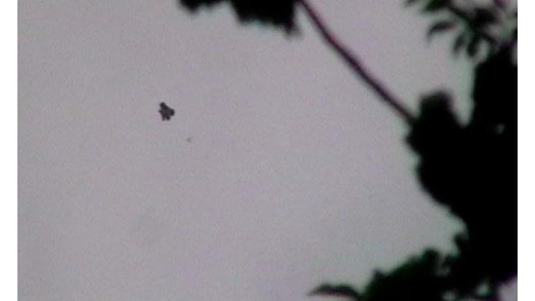 UFO Sightings in Italy & Turkey