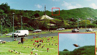 UFO Over Hawaiian Cemetery