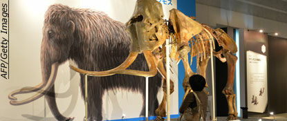 Comet May Have Killed Off Woolly Mammoths