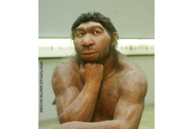 400,000 Year Old Human DNA Extracted