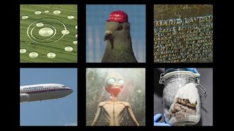 In Coast You Missed It 2/21/20