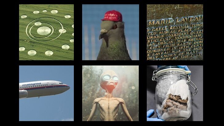 In Coast You Missed It 2/21/20