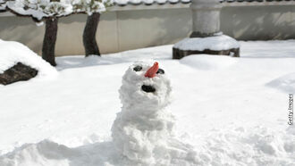 Crazy Christmas Round-Up