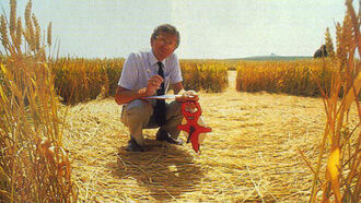 Inside a Crop Circle