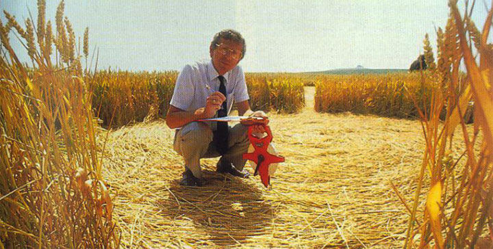 Inside a Crop Circle