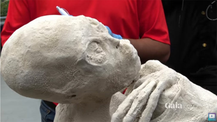 Video: Strange Mummy Investigated by Gaia TV