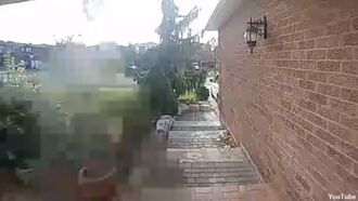 Ghost Filmed by Doorbell Camera?