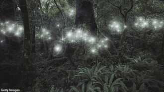 'Fairy Friends' Oppose Scottish Fish Farm