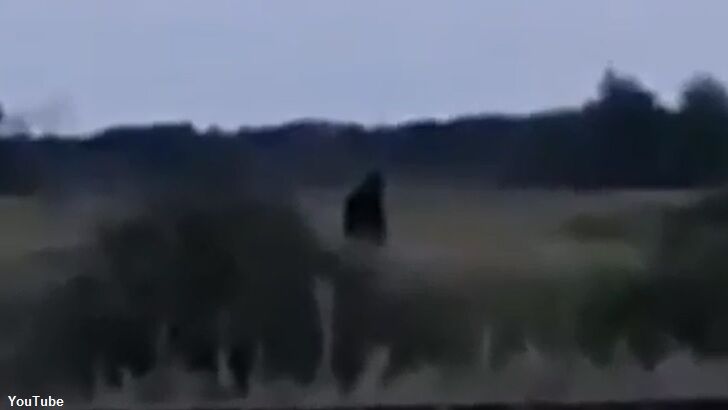 Sasquatch Filmed in Canada?