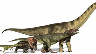 Dreadnoughtus, the Largest Dinosaur