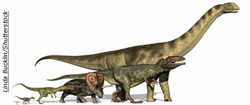 Dreadnoughtus, the Largest Dinosaur