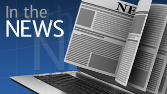 Deaths due to severe wasp stings raise alarm