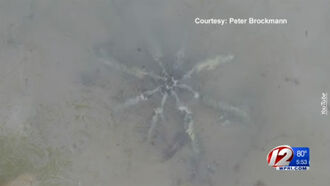 Strange Metal 'Starfish' Found On Rhode Island Beach