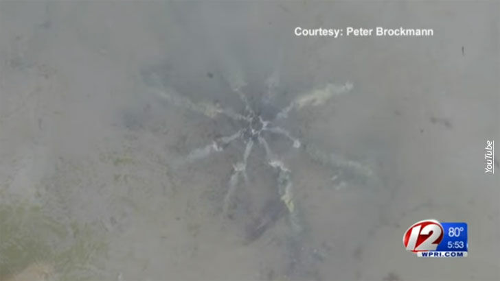 Strange Metal 'Starfish' Found On Rhode Island Beach