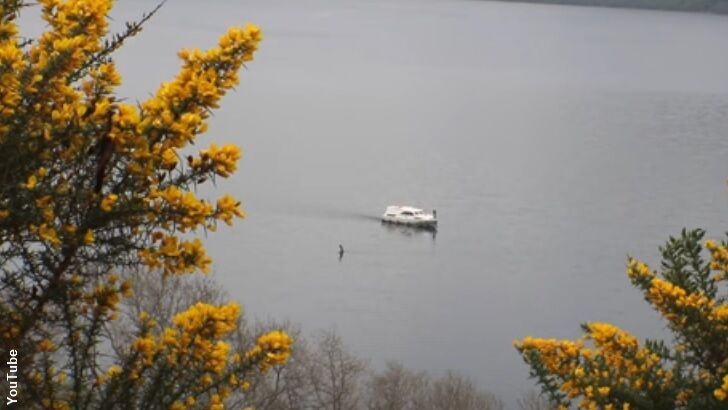 'Nessie' Filmed Near Passing Boat