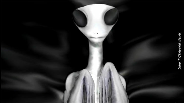 Free 'Beyond Belief' Video: Barbara Lamb on Alien Hybrids