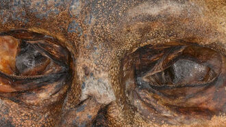 The Iceman: Up Close