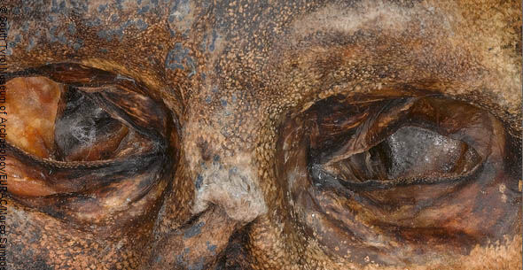 Ötzi the iceman: Up close and personal