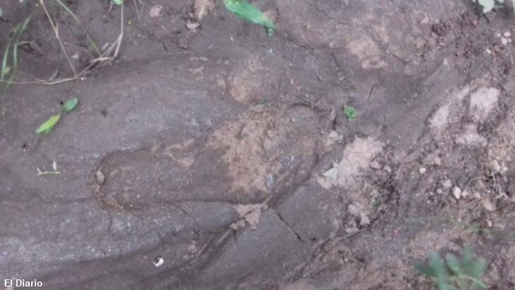 Authorities Hunt for Bigfoot in Argentina?