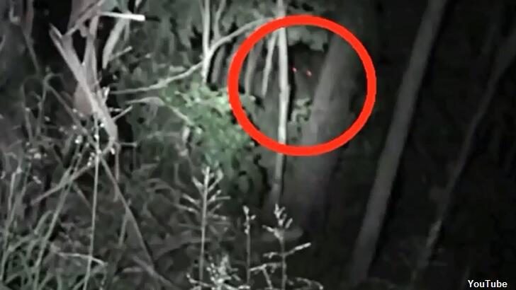 Watch: Glowing Yowie Eyes Caught on Film? | Coast to Coast AM