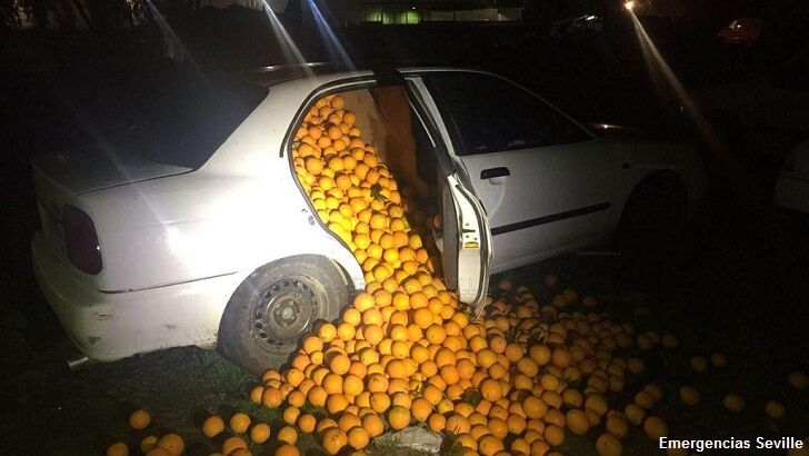 Traffic Stop in Spain Proves Fruitful as Cops Thwart Huge Orange Heist