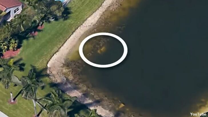 Video: Submerged Car Spotted on Google Earth Solves Decades-Old Cold Case