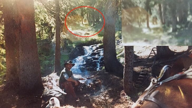 Does Photo Reveal Bigfoot?