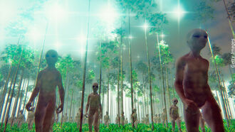 Prophecy & the 'Deep State' / Alien Abductions & Implants