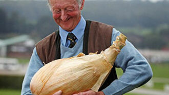 World's Biggest Onion