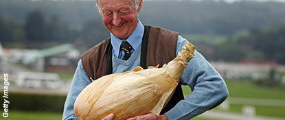 World's Biggest Onion
