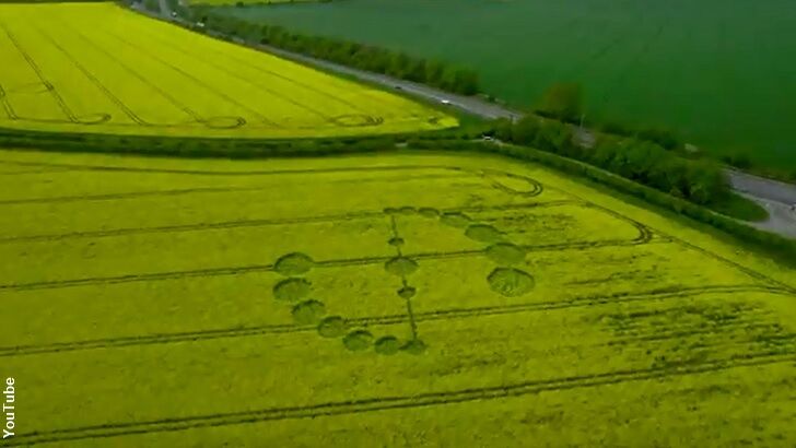 Doubt Cast on New Crop Circle