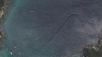 Sign of a Giant Sea Creature?