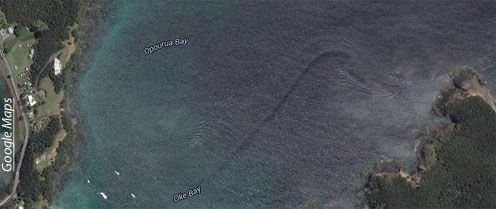 Sign of a Giant Sea Creature?