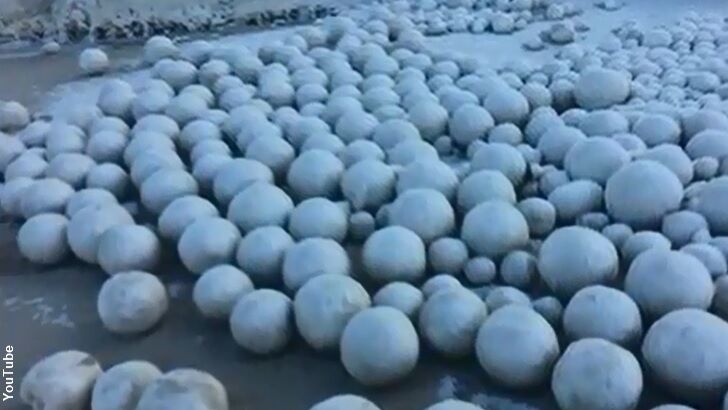 Thousands of Snowballs Appear on Siberian Beach