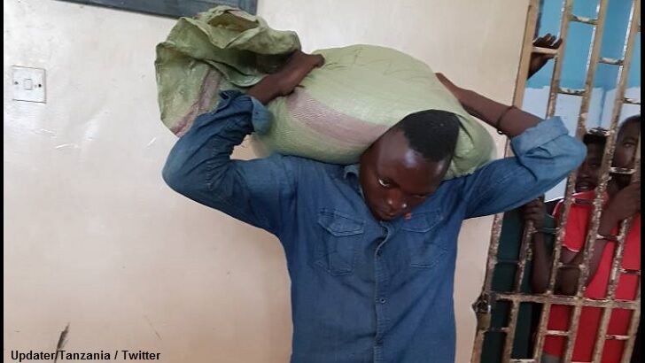 'Cursed' Corn Sticks to Man's Head