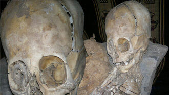 Is this an alien skull?