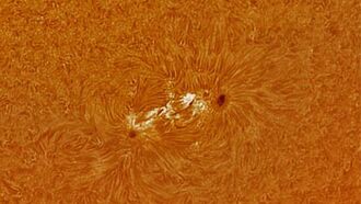 Solar Activity & Crop Circle Prediction