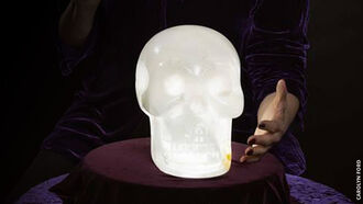 Einstein the Crystal Skull