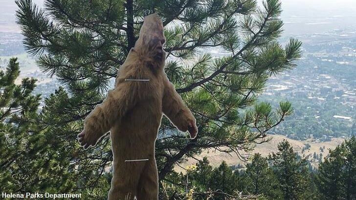 'Sasquatch' Stolen in Montana