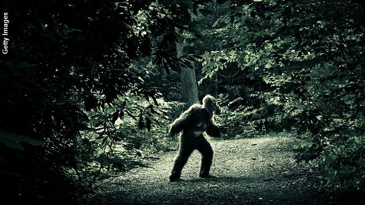 Is the Australian Government Tracking a Yowie?