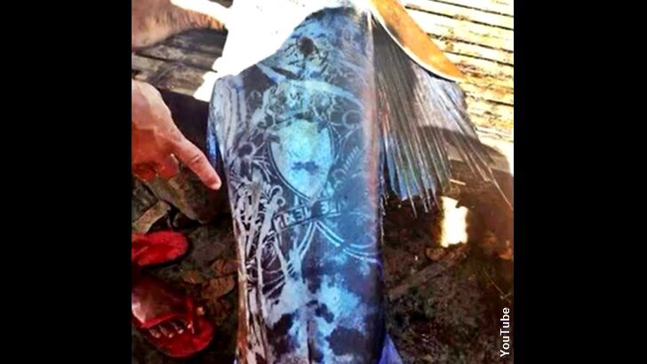 'Tattooed' Fish Found in Philippines